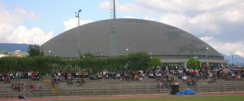 Palasele