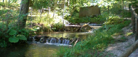Oasi del Monte Polveracchio